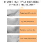 Bee Venom Wrinkle Cream 20g - Image 3